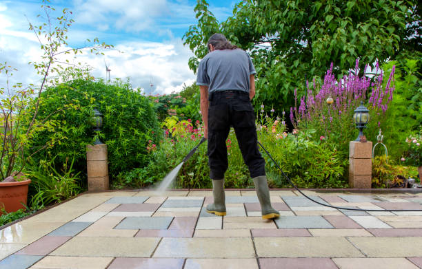 Best Driveway Pressure Washing  in Hayward, CA